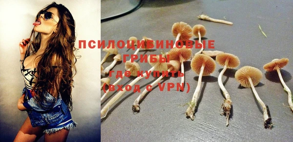амф Козельск