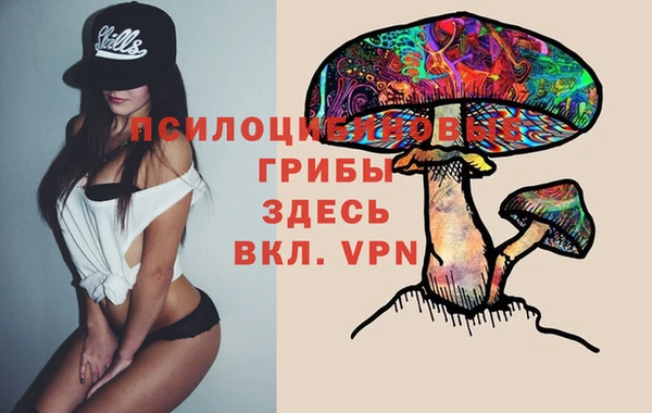 ПСИЛОЦИБИНОВЫЕ ГРИБЫ Кодинск
