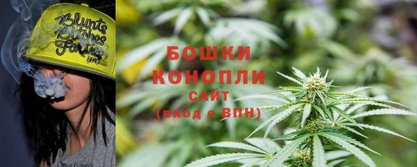 амф Козельск