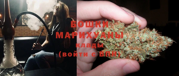 амф Козельск
