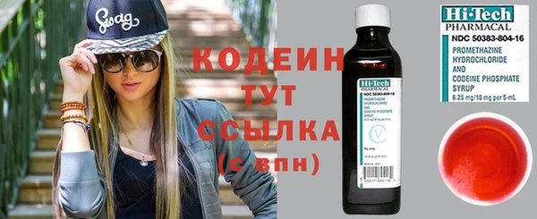 ПСИЛОЦИБИНОВЫЕ ГРИБЫ Кодинск