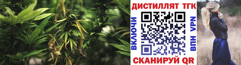 Купить закладки  Красноармейск  Дистиллят ТГК THC oil 